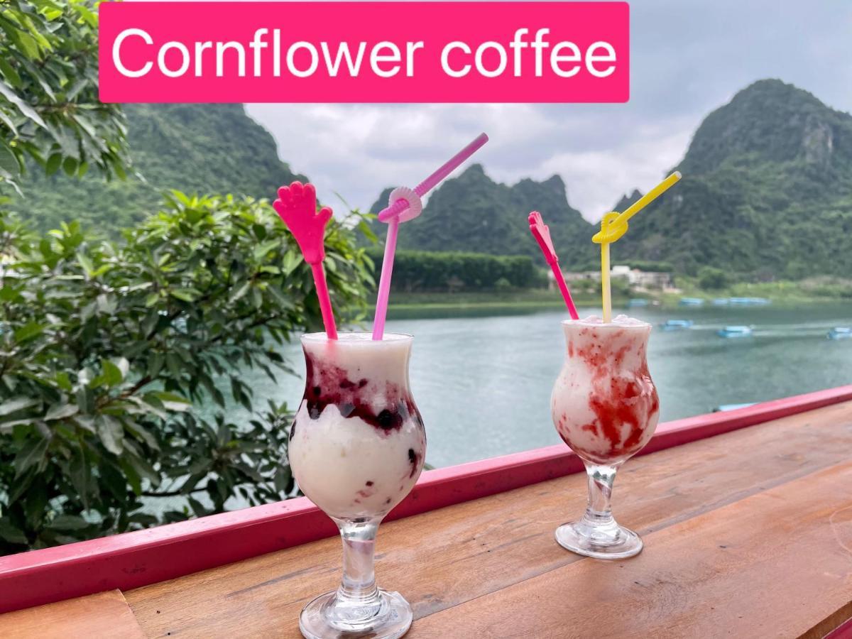 Cornflower Homestay Phong Nha Eksteriør billede
