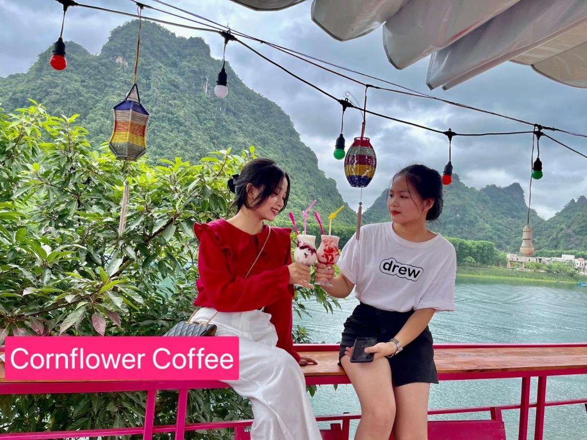 Cornflower Homestay Phong Nha Eksteriør billede